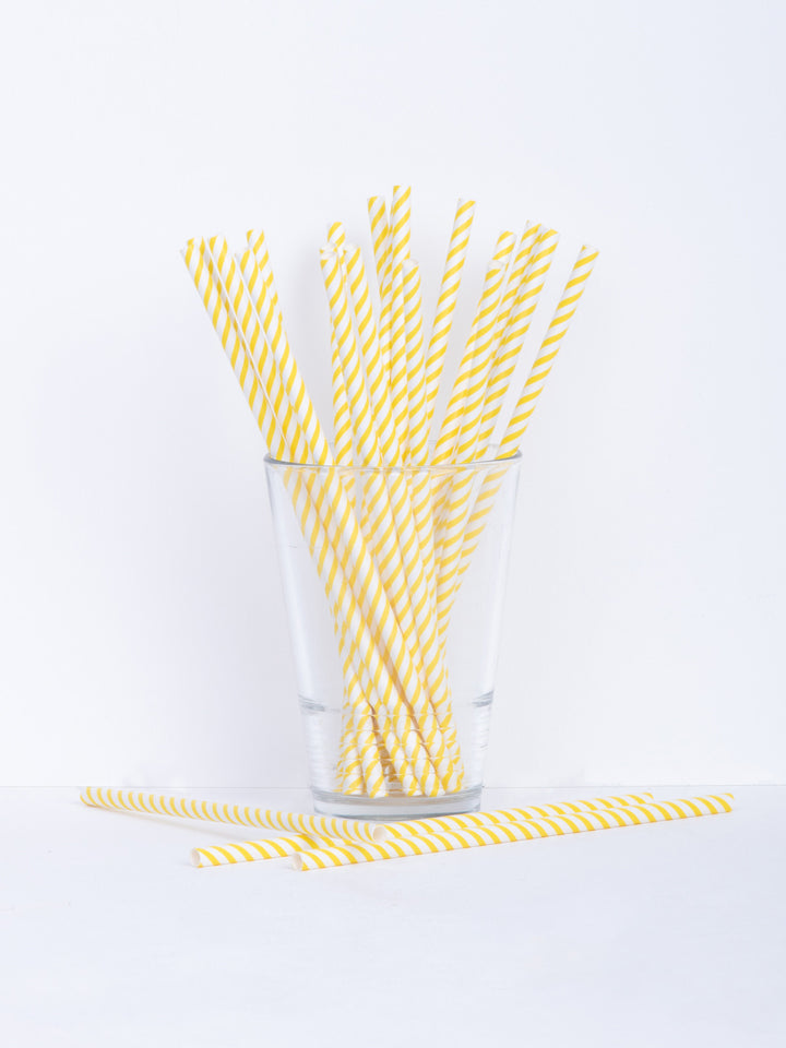 Paper straws Stripe 25 pcs.