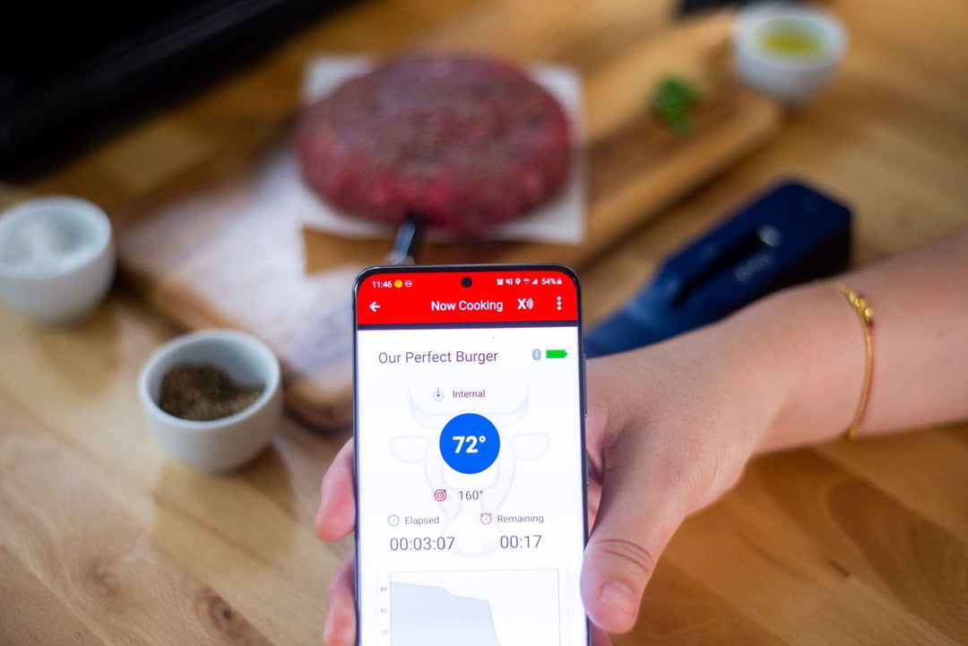 Fleischthermometer The MeatStick Mini