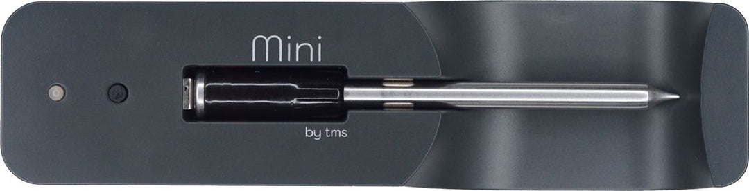 Mini Meat Thermometer - Set 5
