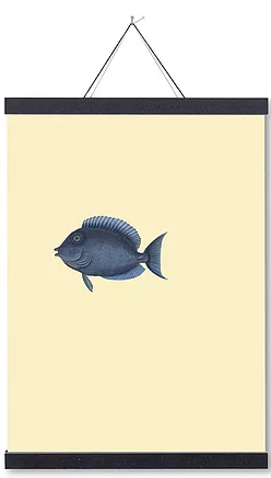 Poster - Animals Din A3