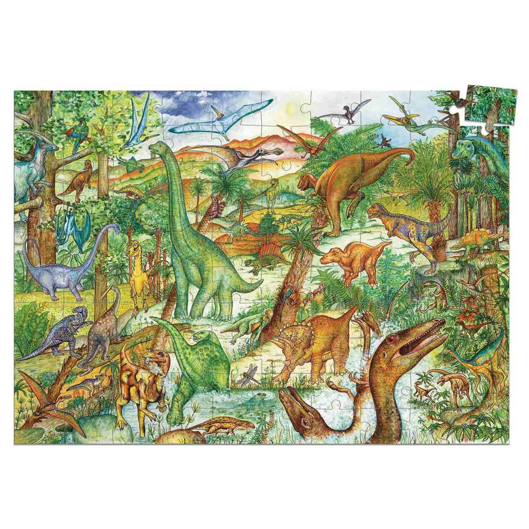 Hidden object puzzle dinosaurs with booklet + poster