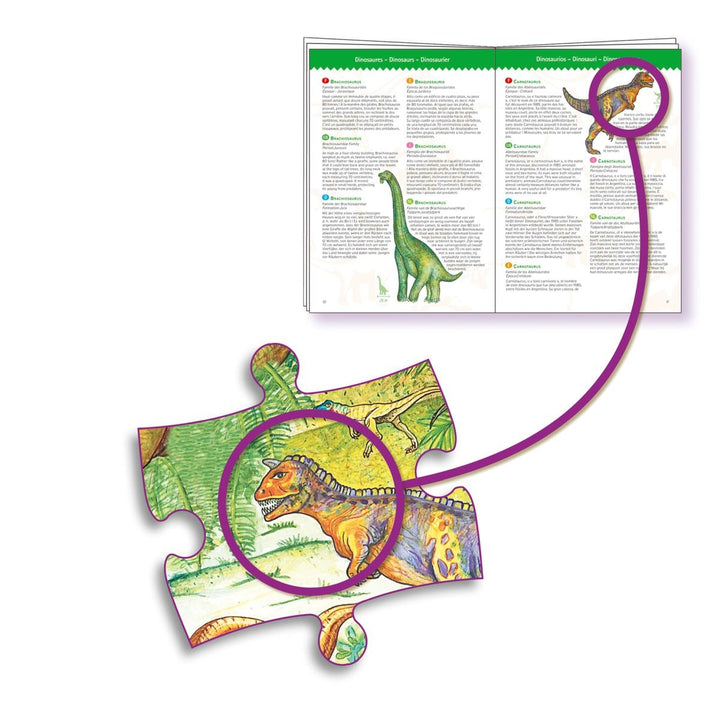 Hidden object puzzle dinosaurs with booklet + poster