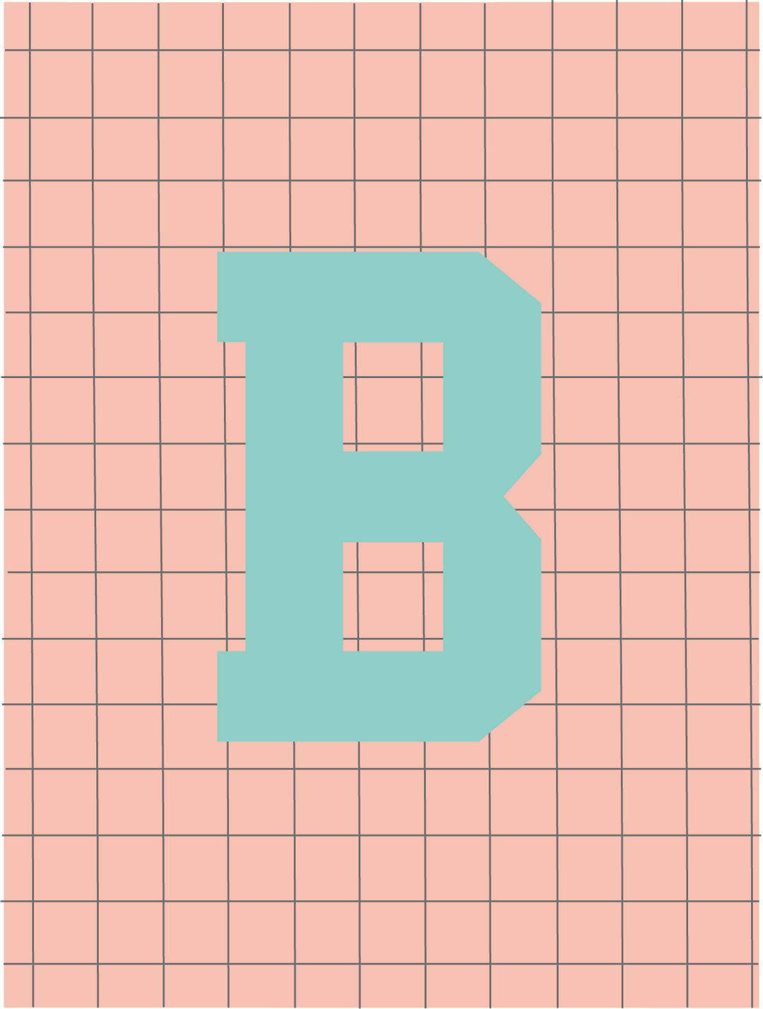 Letterbag check pink/turquoise
