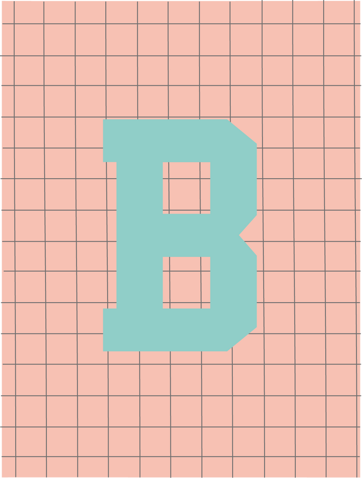 Letterbag check pink/turquoise