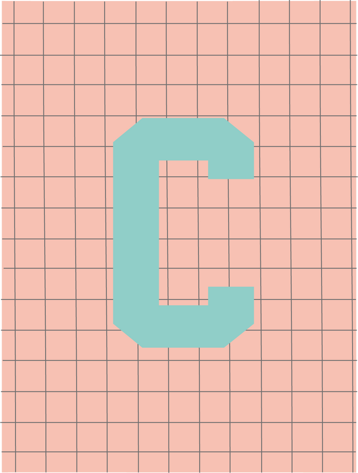 Letterbag check pink/turquoise