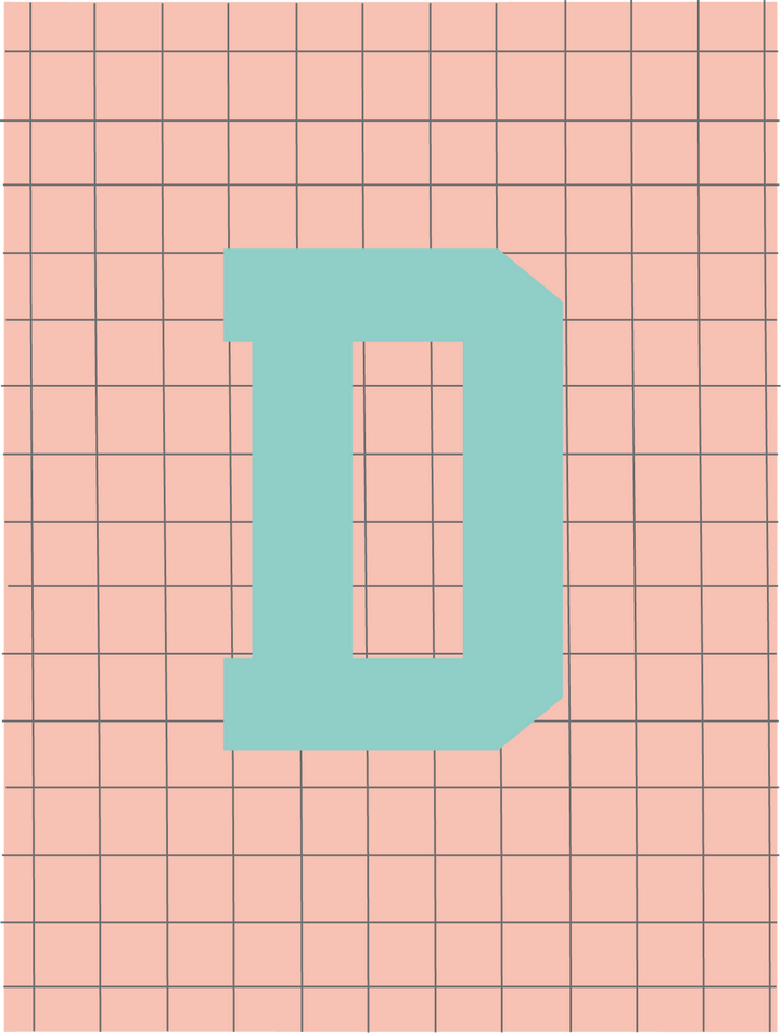 Letterbag check pink/turquoise