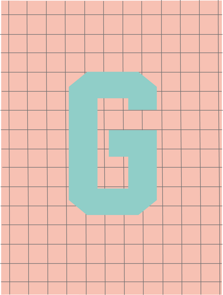 Letterbag check pink/turquoise