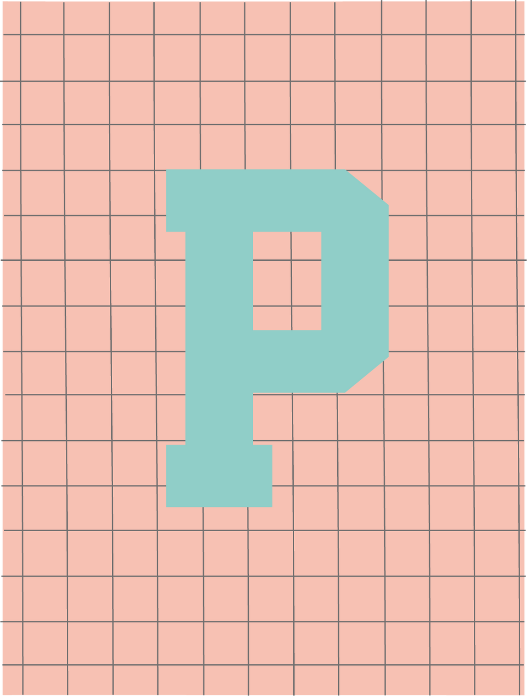 Letterbag check pink/turquoise