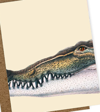 Poster - Animals Din A3
