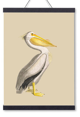 Poster - Animals Din A3