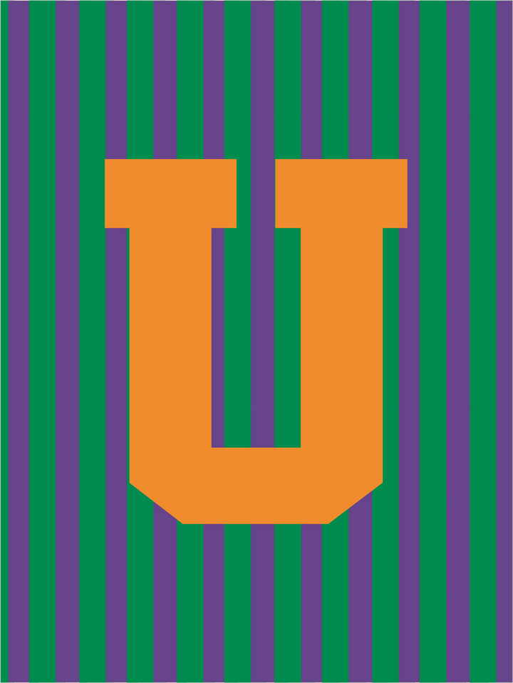 Letterbag Stripe green/purple