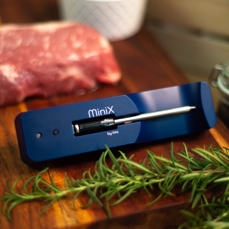 Mini Meat Thermometer - Set 5