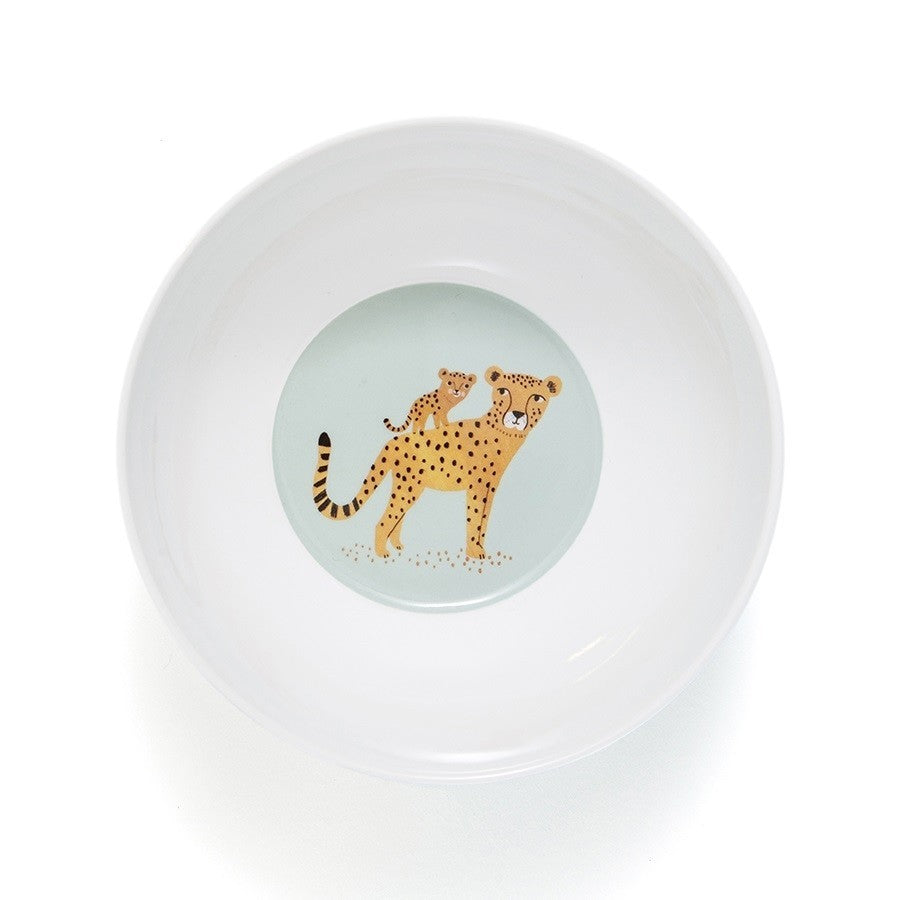 bowl of melamine