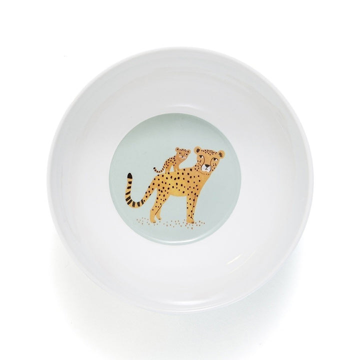 bowl of melamine