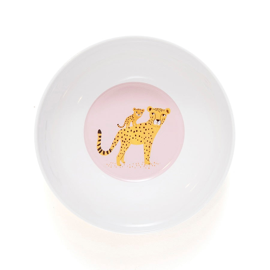 bowl of melamine