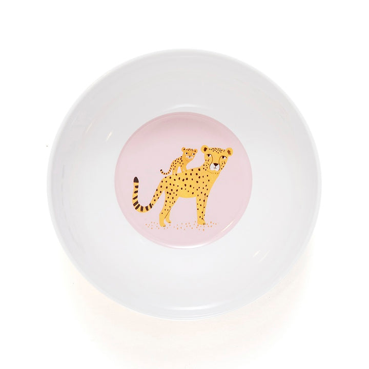 bowl of melamine