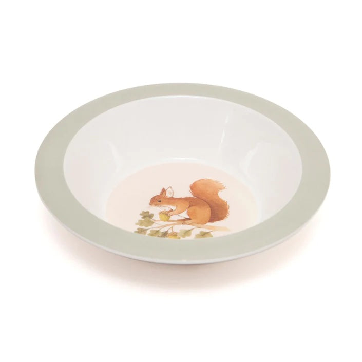 bowl of melamine