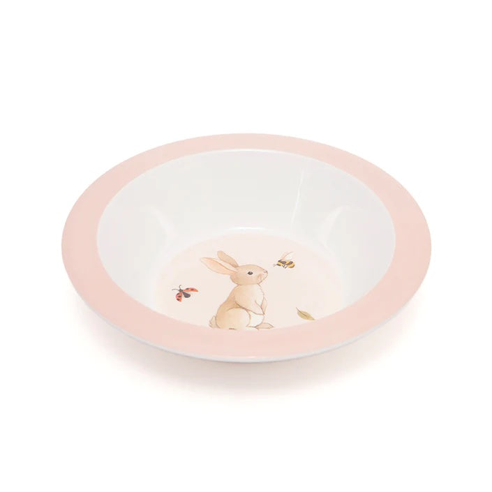 bowl of melamine